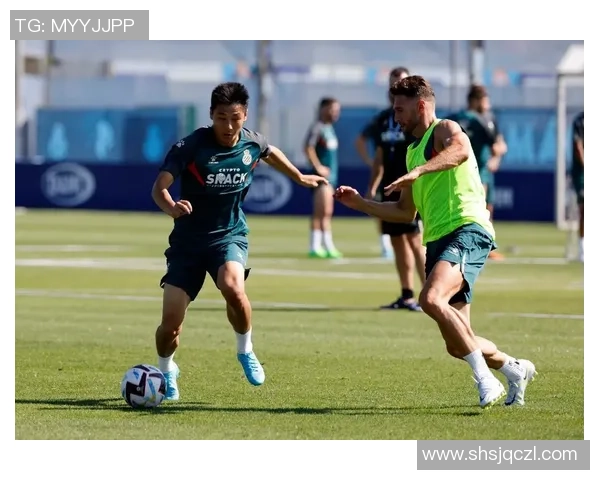 足球明星内磊的成长历程与辉煌成就全解析